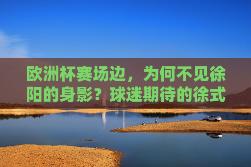 欧洲杯赛场边，为何不见徐阳的身影？球迷期待的徐式解说去哪儿了？欧洲杯赛场边徐阳缺席，球迷期待的徐式解说去哪儿了？