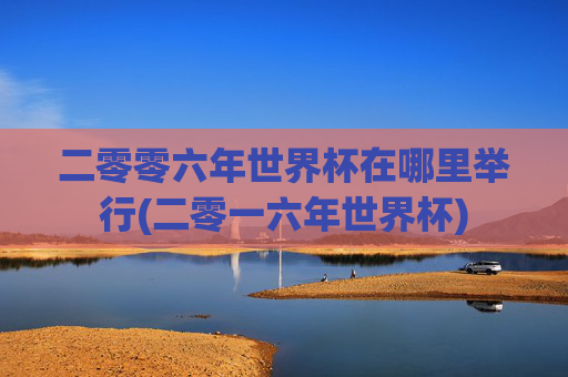 二零零六年世界杯在哪里举行(二零一六年世界杯)