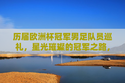 历届欧洲杯冠军男足队员巡礼，星光璀璨的冠军之路，欧洲杯冠军队员巡礼，星光璀璨的冠军之路
