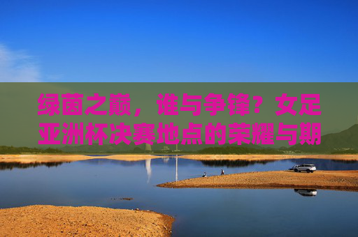 绿茵之巅，谁与争锋？女足亚洲杯决赛地点的荣耀与期待，绿茵之巅，荣耀对决，女足亚洲杯决赛地点的期待