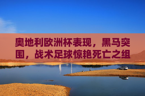 奥地利欧洲杯表现,黑马突围,战术足球惊艳死亡之组,奥地利欧洲杯黑马,战术足球惊艳死亡之组突围