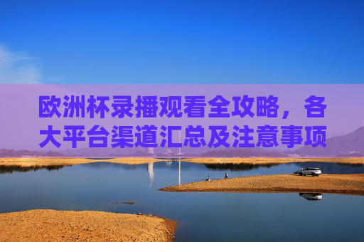 欧洲杯录播观看全攻略,各大平台渠道汇总及注意事项