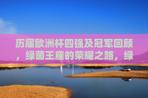 历届欧洲杯四强及冠军回顾，绿茵王座的荣耀之路，绿茵王座，欧洲杯四强冠军的荣耀回顾