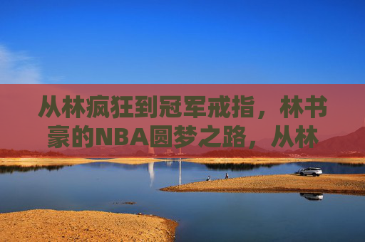 从林疯狂到冠军戒指，林书豪的NBA圆梦之路，从林疯狂到冠军戒指，林书豪的NBA圆梦之路