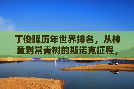 丁俊晖历年世界排名，从神童到常青树的斯诺克征程，丁俊晖，神童到常青树的斯诺克世界排名征程
