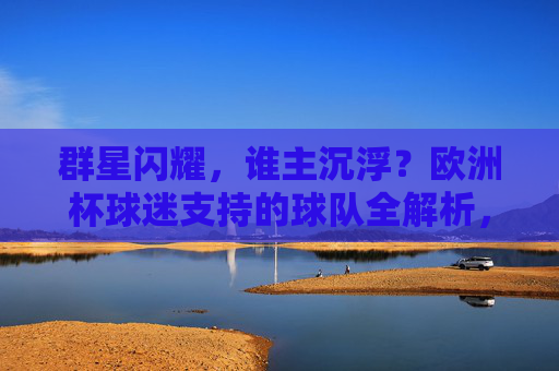 群星闪耀,谁主沉浮?欧洲杯球迷支持的球队全解析,群星闪耀,谁主沉浮?欧洲杯球迷支持球队全解析