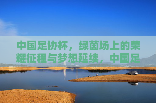 中国足协杯,绿茵场上的荣耀征程与梦想延续,中国足协杯,绿茵场的荣耀征程与梦想延续