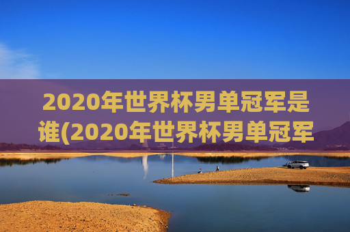 2020年世界杯男单冠军是谁(2020年世界杯男单冠军是谁啊)