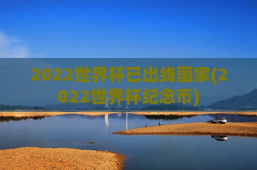 2022世界杯已出线国家(2022世界杯纪念币)