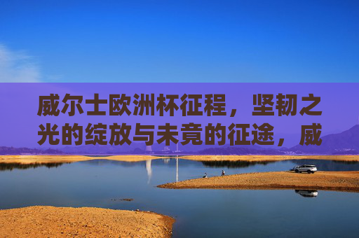 威尔士欧洲杯征程,坚韧之光的绽放与未竟的征途,威尔士欧洲杯,坚韧绽放,征途未竟