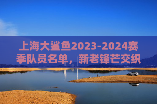 上海大鲨鱼2023-2024赛季队员名单，新老锋芒交织，剑指季后赛新征程，上海大鲨鱼2023-2024赛季队员名单，新老锋芒交织，剑指季后赛新征程