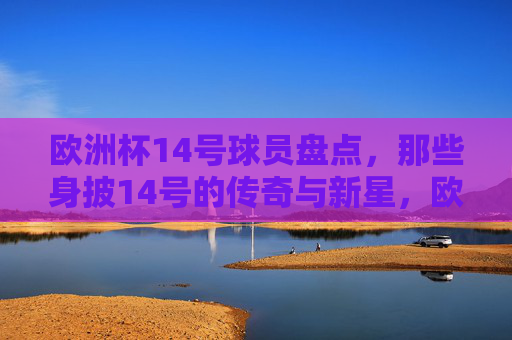 欧洲杯14号球员盘点，那些身披14号的传奇与新星，欧洲杯14号球员盘点，传奇与新星的星光