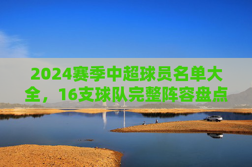 2024赛季中超球员名单大全,16支球队完整阵容盘点,2024赛季中超16队球员名单大全