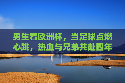 男生看欧洲杯,当足球点燃心跳,热血与兄弟共赴四年之约,足球点燃心跳,兄弟共赴四年之约