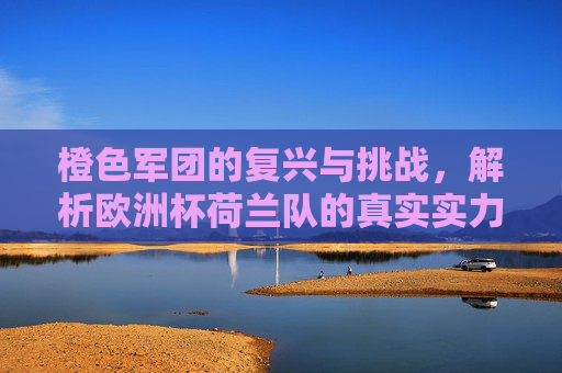 橙色军团的复兴与挑战,解析欧洲杯荷兰队的真实实力,橙色军团复兴挑战,欧洲杯荷兰队真实实力解析