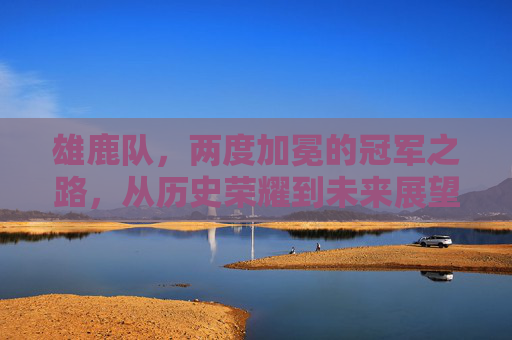 雄鹿队,两度加冕的冠军之路,从历史荣耀到未来展望