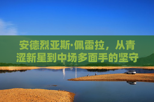 安德烈亚斯·佩雷拉,从青涩新星到中场多面手的坚守与蜕变,安德烈亚斯·佩雷拉,从青涩新星到中场多面手的坚守与蜕变