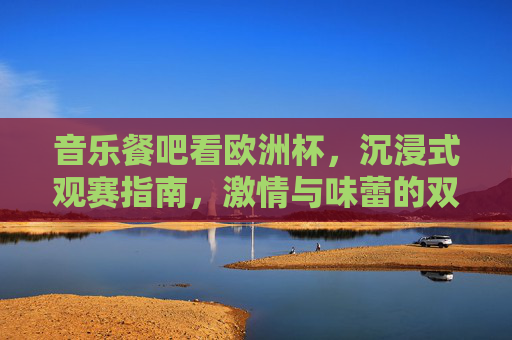 音乐餐吧看欧洲杯，沉浸式观赛指南，激情与味蕾的双重狂欢！音乐餐吧欧洲杯，沉浸式观赛，激情与味蕾双重狂欢！