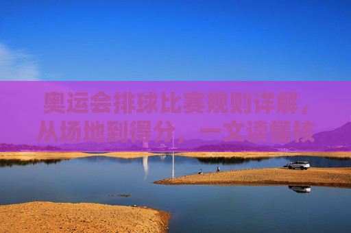 奥运会排球比赛规则详解,从场地到得分,一文读懂核心要点