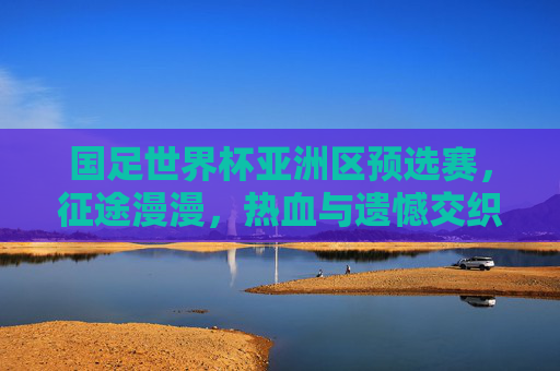 国足世界杯亚洲区预选赛，征途漫漫，热血与遗憾交织的绿茵战场，绿茵征途，国足世预赛的热血与遗憾