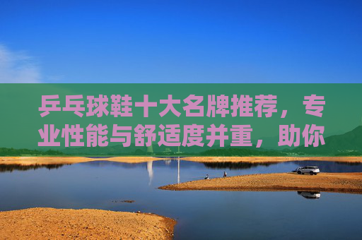 乒乓球鞋十大名牌推荐,专业性能与舒适度并重,助你赛场驰骋,乒乓球鞋十大名牌推荐,专业性能与舒适度并重,赛场驰骋优选