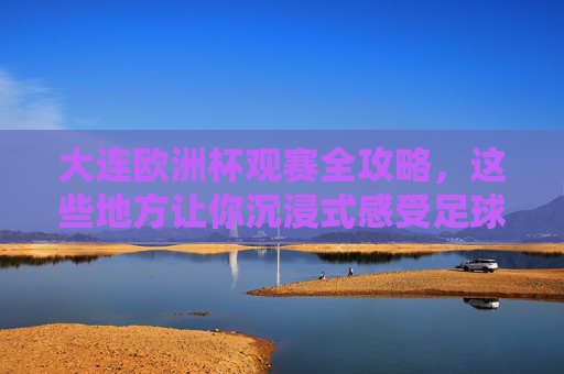 大连欧洲杯观赛全攻略，这些地方让你沉浸式感受足球激情，大连欧洲杯观赛全攻略，沉浸式感受足球激情