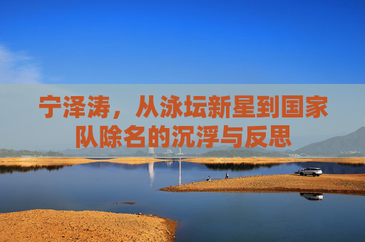 宁泽涛,从泳坛新星到国家队除名的沉浮与反思