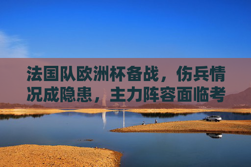 法国队欧洲杯备战,伤兵情况成隐患,主力阵容面临考验