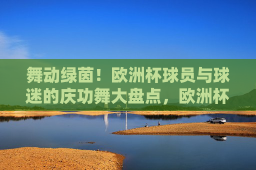 舞动绿茵!欧洲杯球员与球迷的庆功舞大盘点,欧洲杯庆功舞,球员球迷共舞绿茵