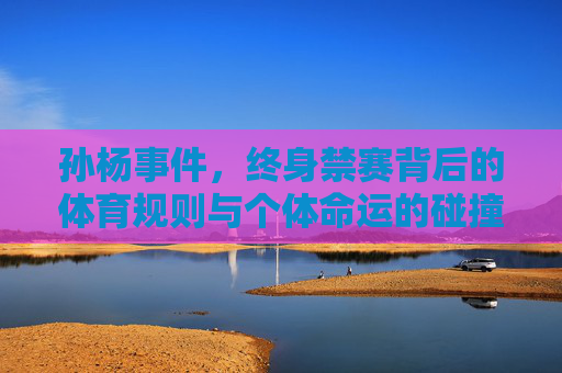 孙杨事件,终身禁赛背后的体育规则与个体命运的碰撞,孙杨事件,体育规则与个体命运的碰撞