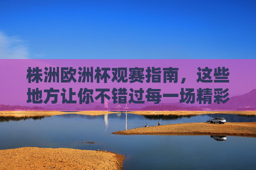 株洲欧洲杯观赛指南，这些地方让你不错过每一场精彩！株洲欧洲杯观赛指南，不错过每一场精彩