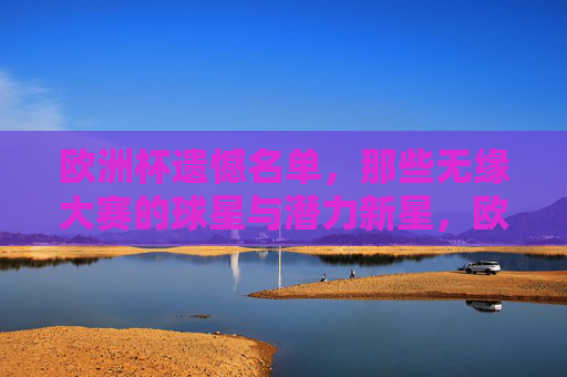 欧洲杯遗憾名单,那些无缘大赛的球星与潜力新星,欧洲杯遗憾名单,无缘大赛的球星与潜力新星