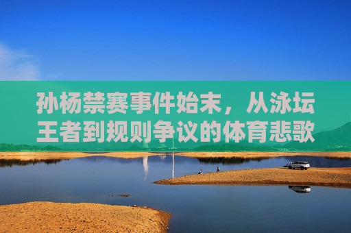 孙杨禁赛事件始末,从泳坛王者到规则争议的体育悲歌