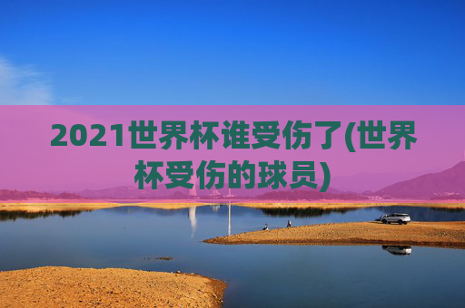 2021世界杯谁受伤了(世界杯受伤的球员)