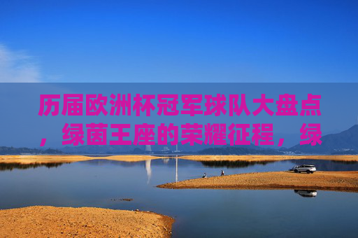 历届欧洲杯冠军球队大盘点,绿茵王座的荣耀征程,绿茵王座,历届欧洲杯冠军的荣耀征程