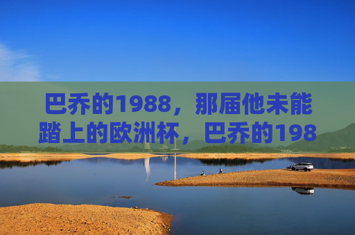 巴乔的1988,那届他未能踏上的欧洲杯,巴乔的1988,未踏上的欧洲杯