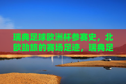 瑞典足球欧洲杯参赛史，北欧劲旅的赛场足迹，瑞典足球欧洲杯史，北欧劲旅的赛场足迹