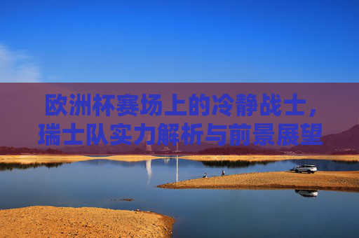 欧洲杯赛场上的冷静战士,瑞士队实力解析与前景展望,欧洲杯冷静战士,瑞士队实力与前景展望