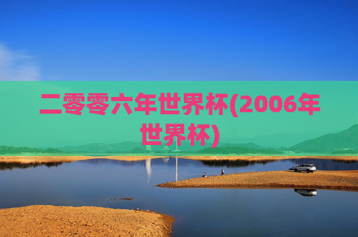 二零零六年世界杯(2006年世界杯)
