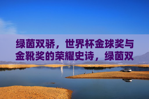 绿茵双骄,世界杯金球奖与金靴奖的荣耀史诗,绿茵双骄,世界杯金球金靴荣耀史诗