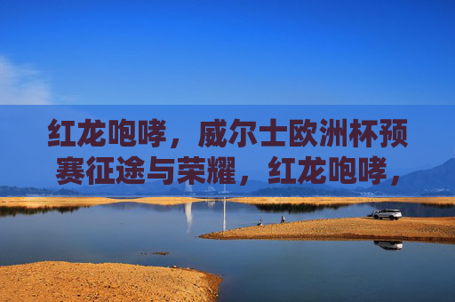 红龙咆哮，威尔士欧洲杯预赛征途与荣耀，红龙咆哮，威尔士欧洲杯预赛征途与荣耀