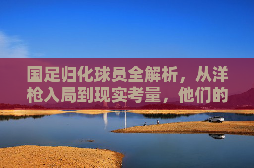 国足归化球员全解析,从洋枪入局到现实考量,他们的国足路,国足归化球员,从洋枪入局到现实之路