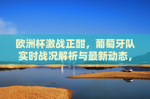 欧洲杯激战正酣,葡萄牙队实时战况解析与最新动态,欧洲杯激战正酣,葡萄牙队实时战况解析与最新动态