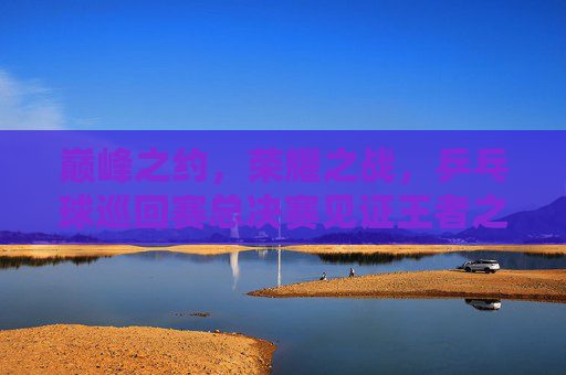 巅峰之约,荣耀之战,乒乓球巡回赛总决赛见证王者之路