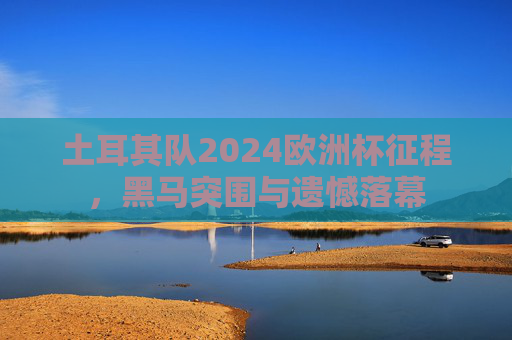 土耳其队2024欧洲杯征程,黑马突围与遗憾落幕