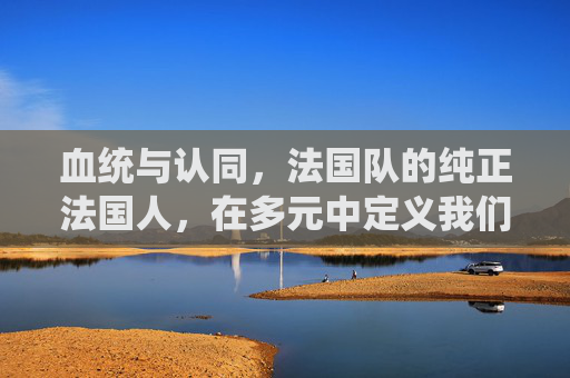血统与认同,法国队的纯正法国人,在多元中定义我们,法国队的血统认同,多元中的自我定义