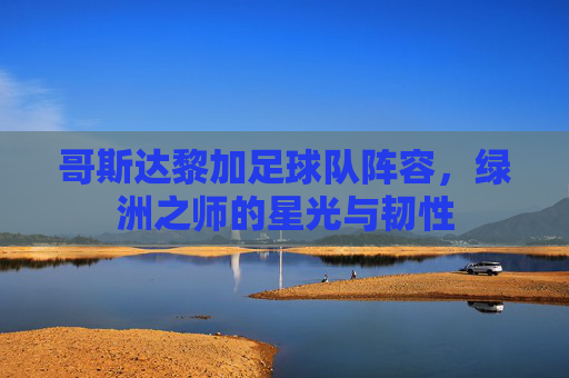 哥斯达黎加足球队阵容,绿洲之师的星光与韧性