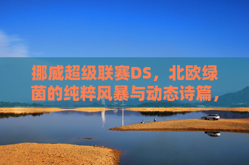 挪威超级联赛DS,北欧绿茵的纯粹风暴与动态诗篇,挪威超级联赛DS,北欧绿茵的纯粹风暴与动态诗篇