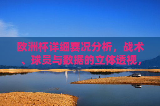 欧洲杯详细赛况分析,战术、球员与数据的立体透视,欧洲杯立体透视,战术、球员与数据的赛况分析