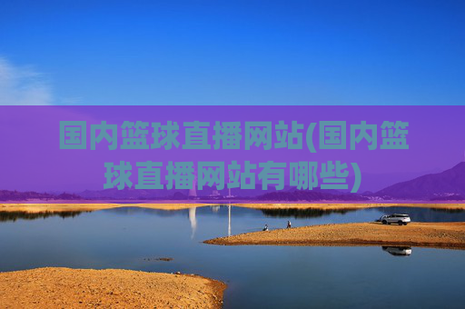 国内篮球直播网站(国内篮球直播网站有哪些)